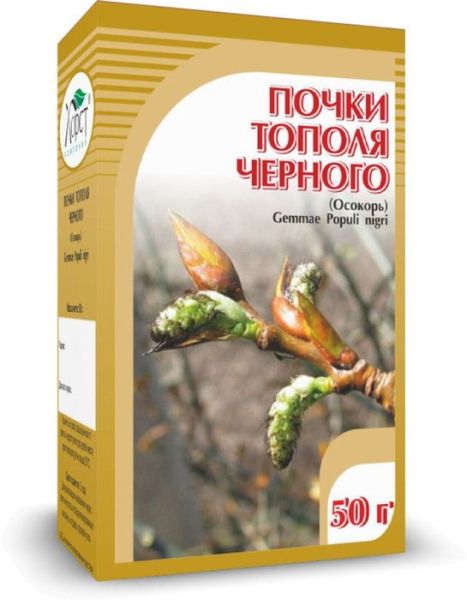 Изображение товара Тополя черного (почки), 50 г Тополя черного (почки), 50 г фотография